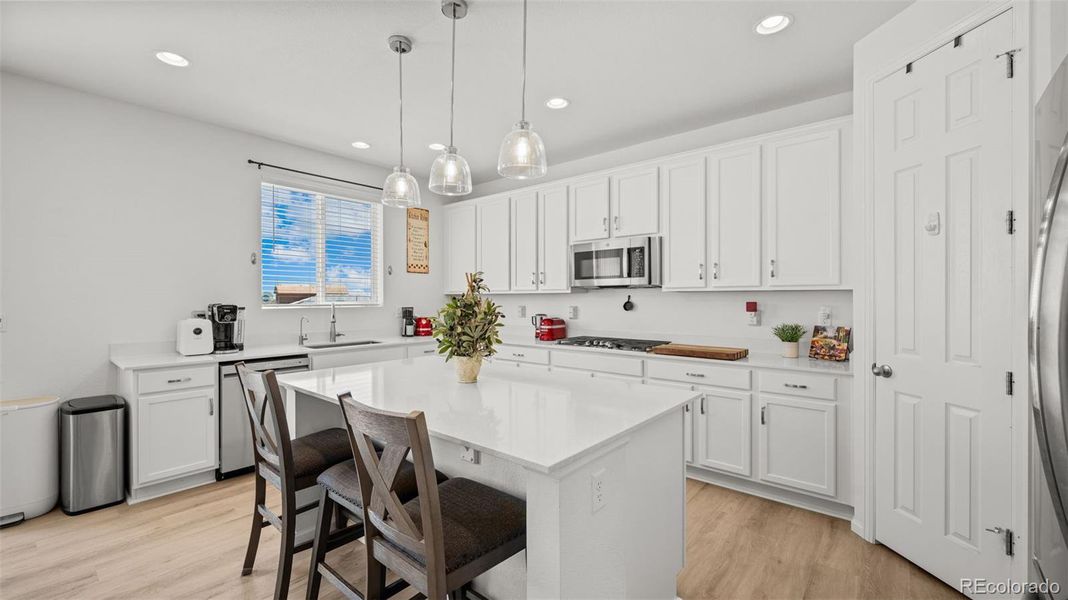 Gourmet Kitchen Quartz Counters