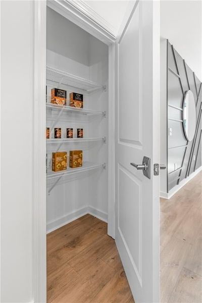 Kitchen pantry. Not actual home. Photos of Model Home.