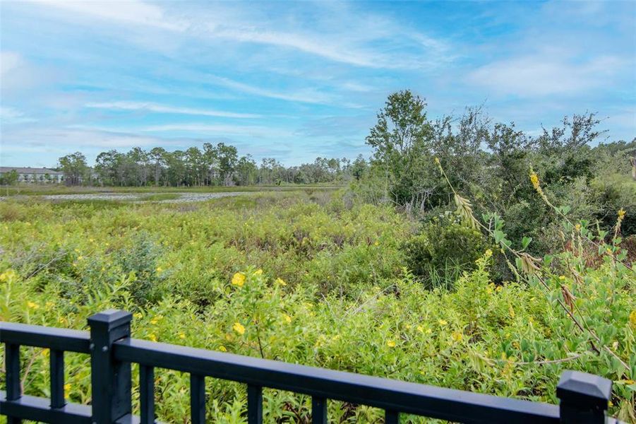 Natural landscape and outdoor views near  in Davenport (Image 39).