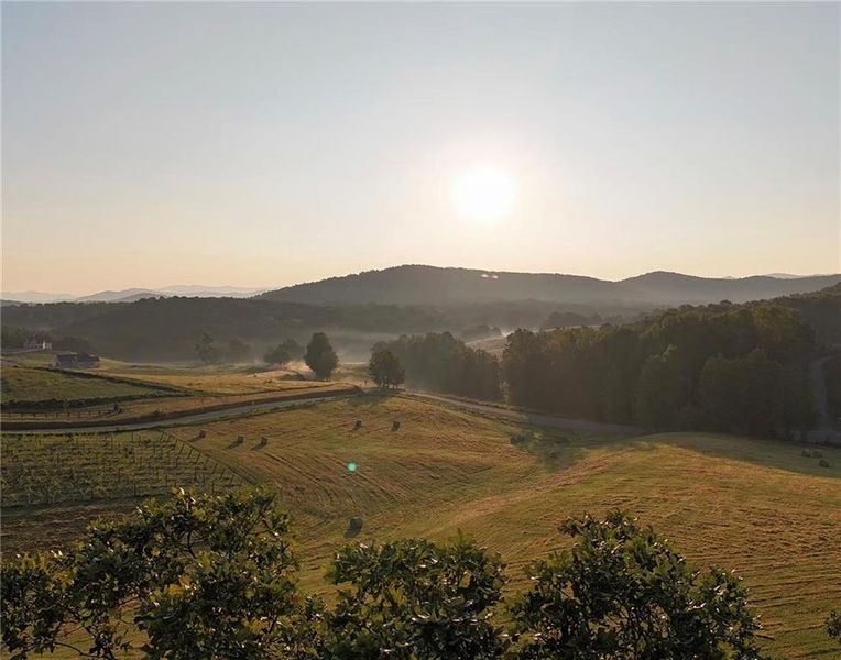 Natural landscape and outdoor views near  in Talking Rock (Image 60).