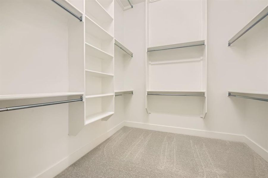 Walk in closet featuring carpet floors Walk in closet featuring carpet floors