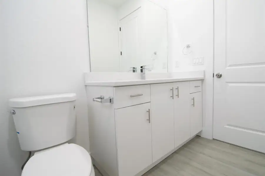 Bathroom Vanity & Toilet