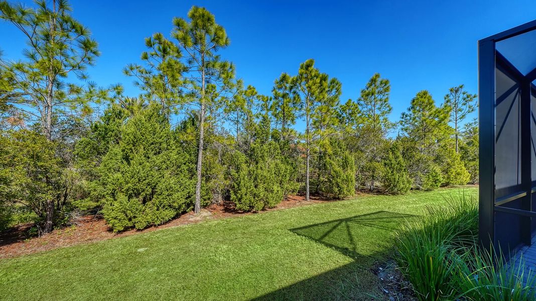 Natural landscape and outdoor views near Grand Palm in Venice (Image 36).