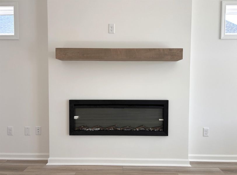 Detailed view of a glass covered fireplace and wood finished floors