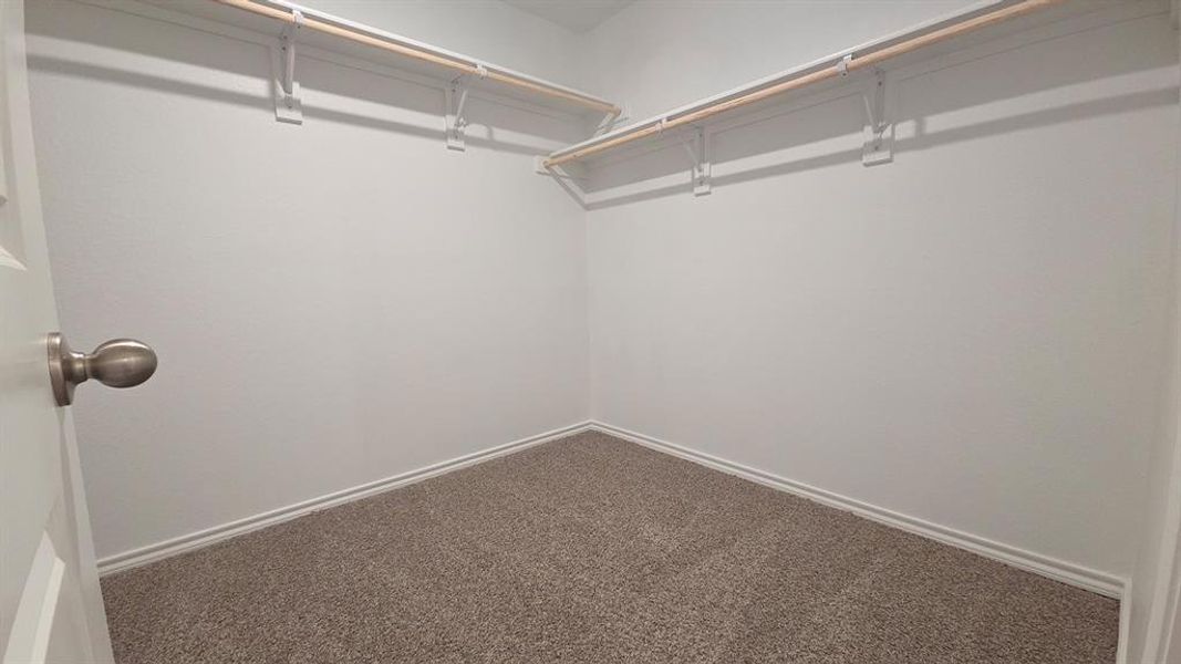 Spacious walk-in closet featuring light gray carpeting, white walls, and built-in white wire shelving with wood rods