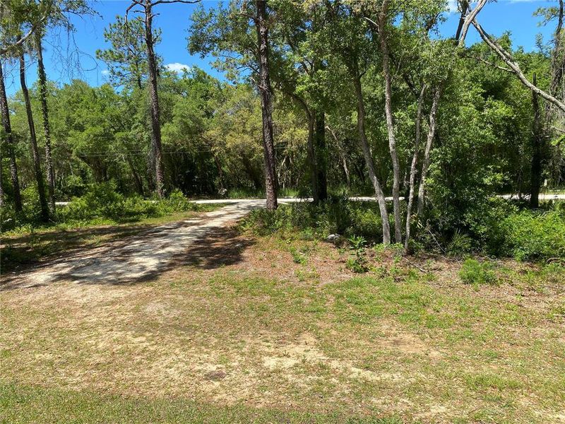 Natural landscape and outdoor views near  in Webster (Image 18).
