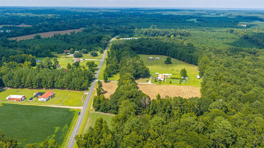 Natural landscape and outdoor views near  in Holly Hill (Image 49).