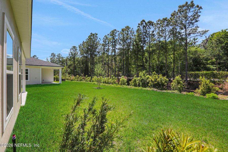 Exterior details and patio area of a home in Amberly, Green Cove Springs (Image 23).