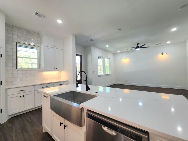 Kitchen with white cabinetry, a healthy amount of sunlight, dishwasher, and dark hardwood / wood-style flooring