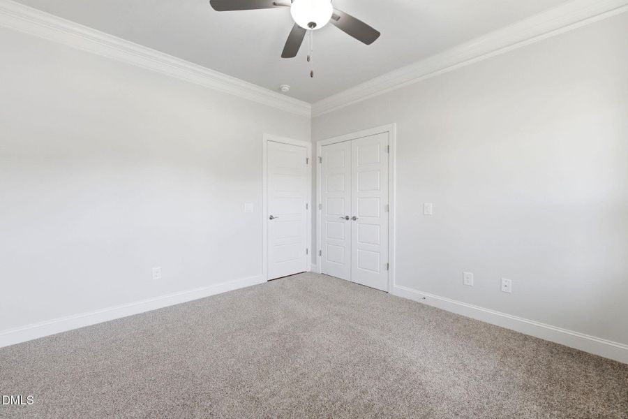 45-web-or-mls-DSC07042