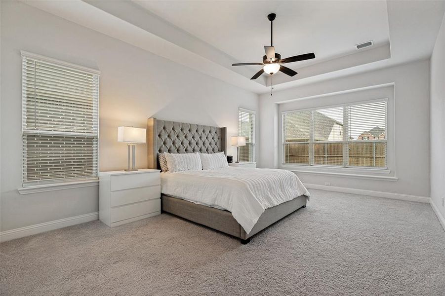 Spacious room featuring tray ceilings, neutral carpeting, and a ceiling fan