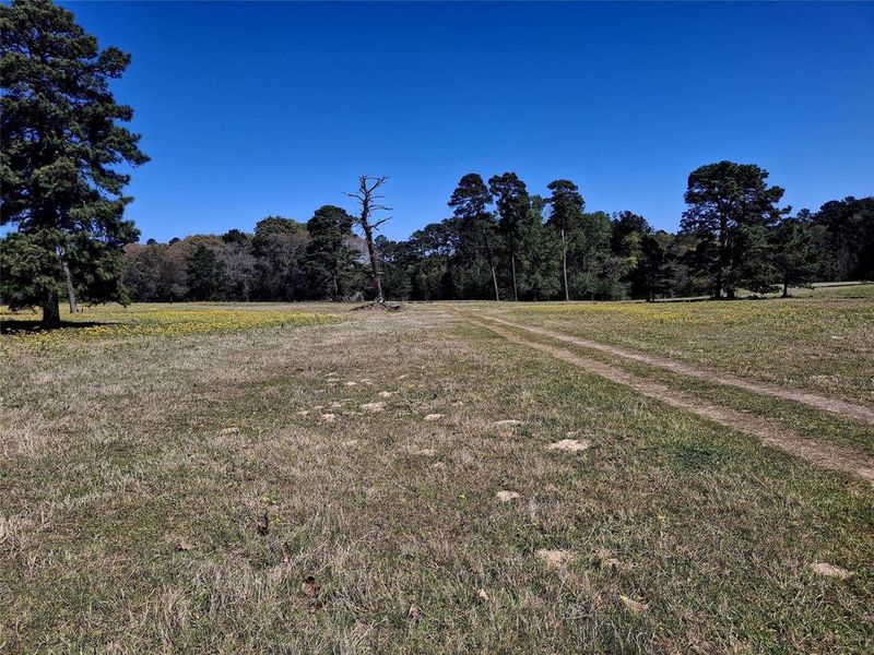 Natural landscape and outdoor views near  in Jacksonville (Image 12).
