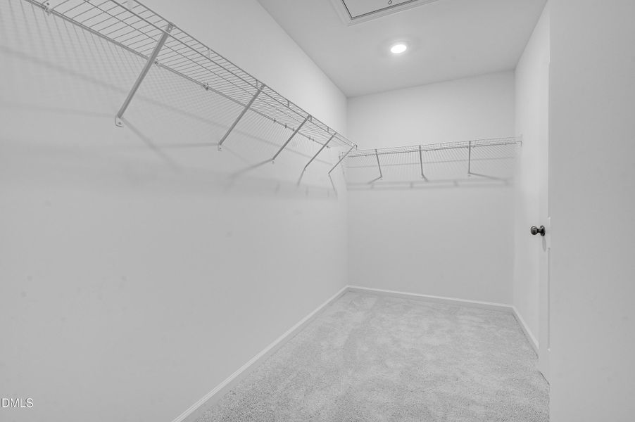 SUN_CaitlinCrossing_Pic_Cameron-26