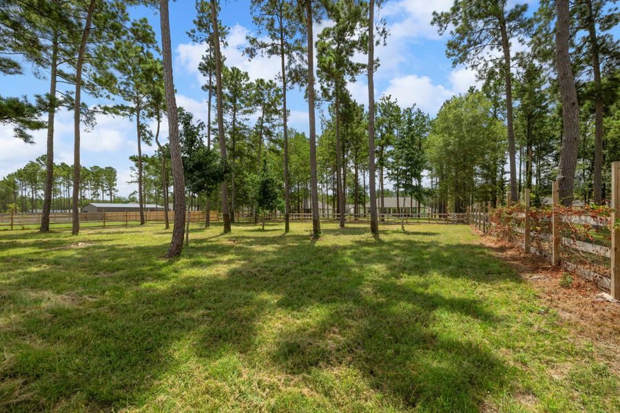 Perfect for enjoying nature and outdoor activities