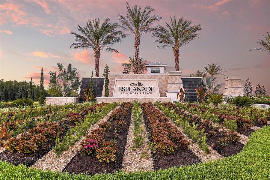 Esplanade at Wiregrass Ranch Community