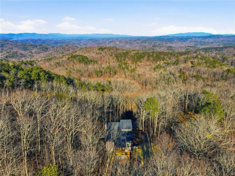 Natural landscape and outdoor views near  in Ranger (Image 50).
