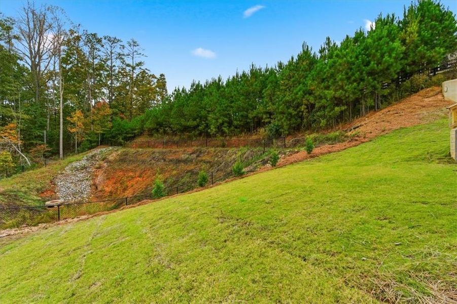 Natural landscape and outdoor views near  in Dallas (Image 57).