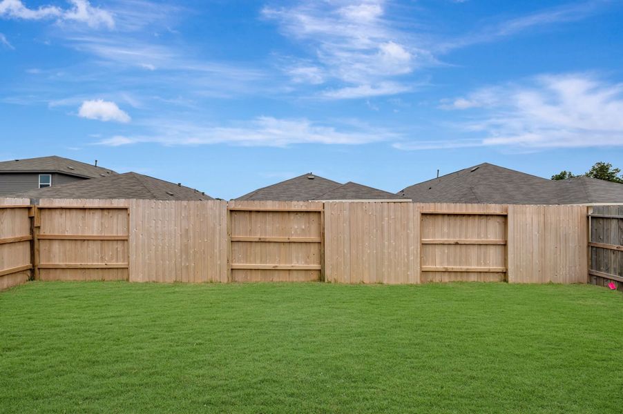 Backyard