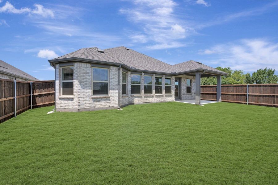 Backyard Backyard