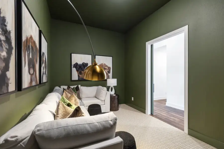 Representative Entertainment Room - some options shown