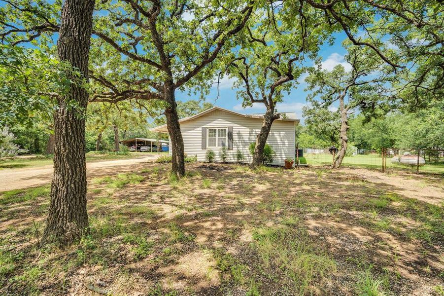 Natural landscape and outdoor views near  in Cleburne (Image 21).