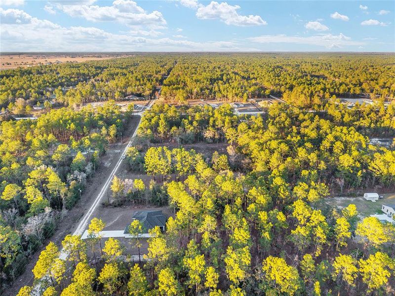 Natural landscape and outdoor views near  in Dunnellon (Image 68).