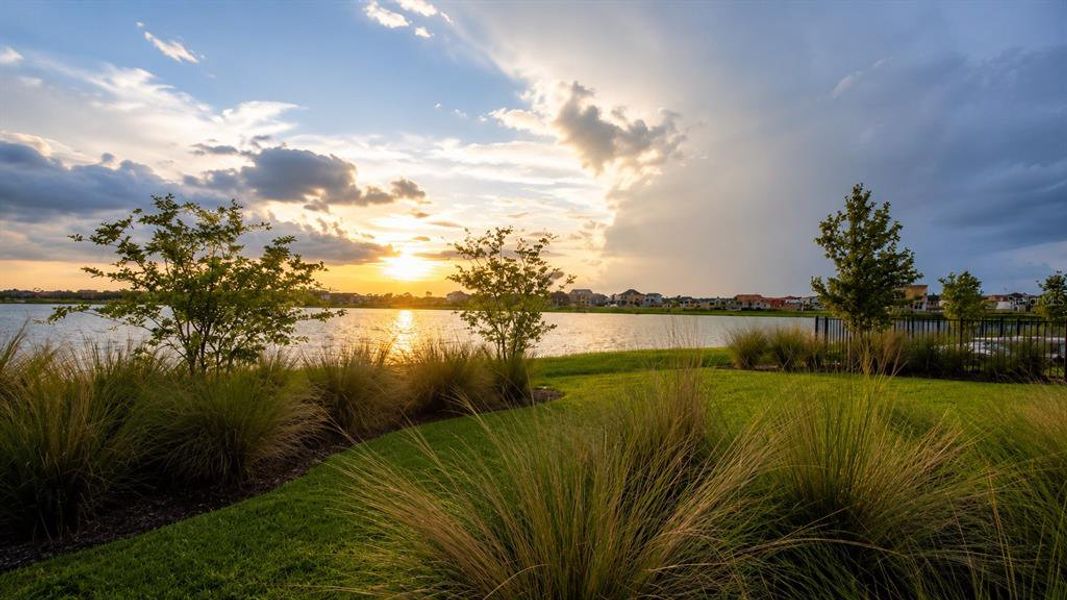 Natural landscape and outdoor views near Laureate Park in Orlando (Image 54).