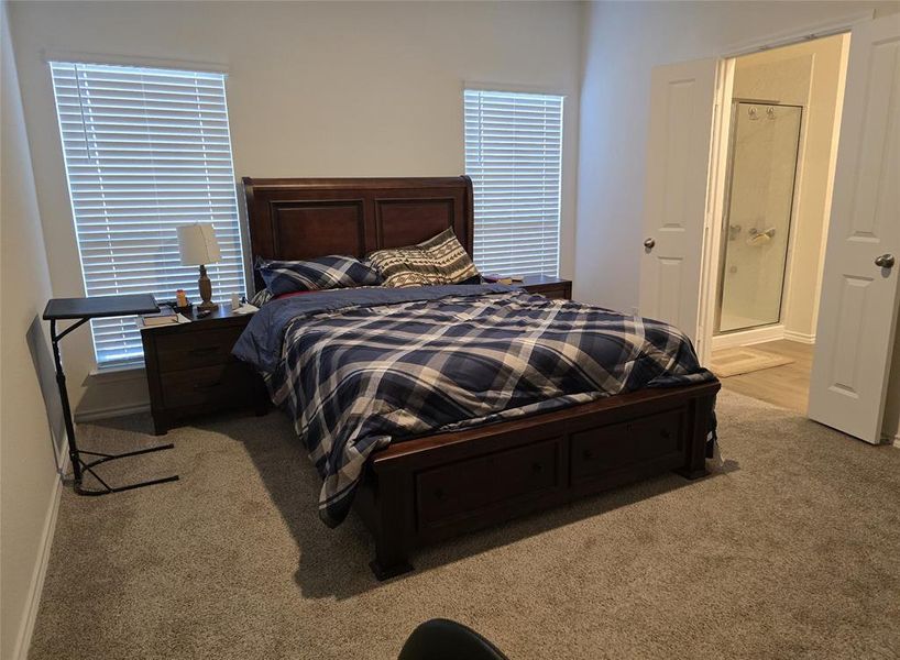 Bedroom with light carpet