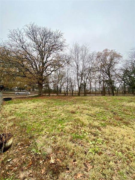 Larger fenced area Larger fenced area