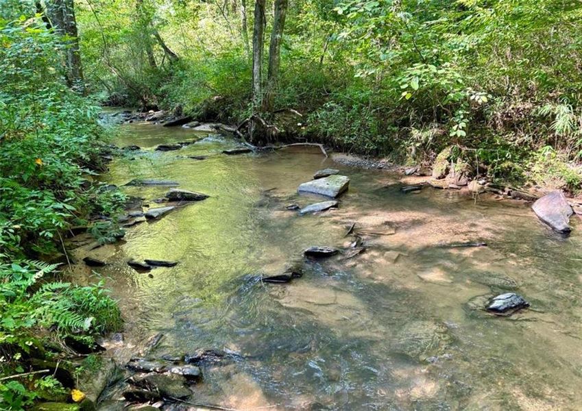 Natural landscape and outdoor views near  in Ellijay (Image 19).