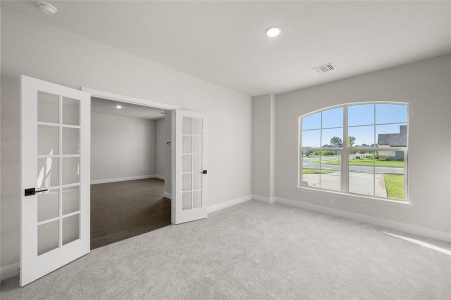 4445 Verbena- Study-1