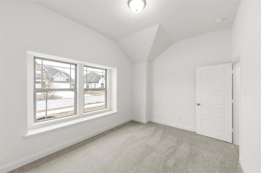 16_St Germaine_Representative Photo