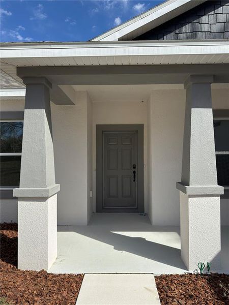 Exterior details and patio area of a home in Citrus Springs, Citrus Springs (Image 19).