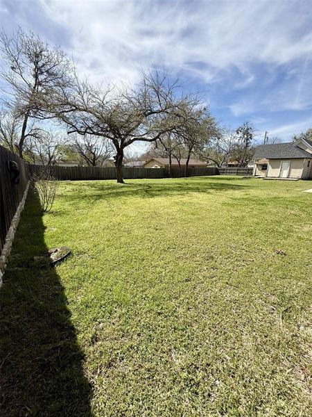 Privacy fenced Backyard Privacy fenced Backyard