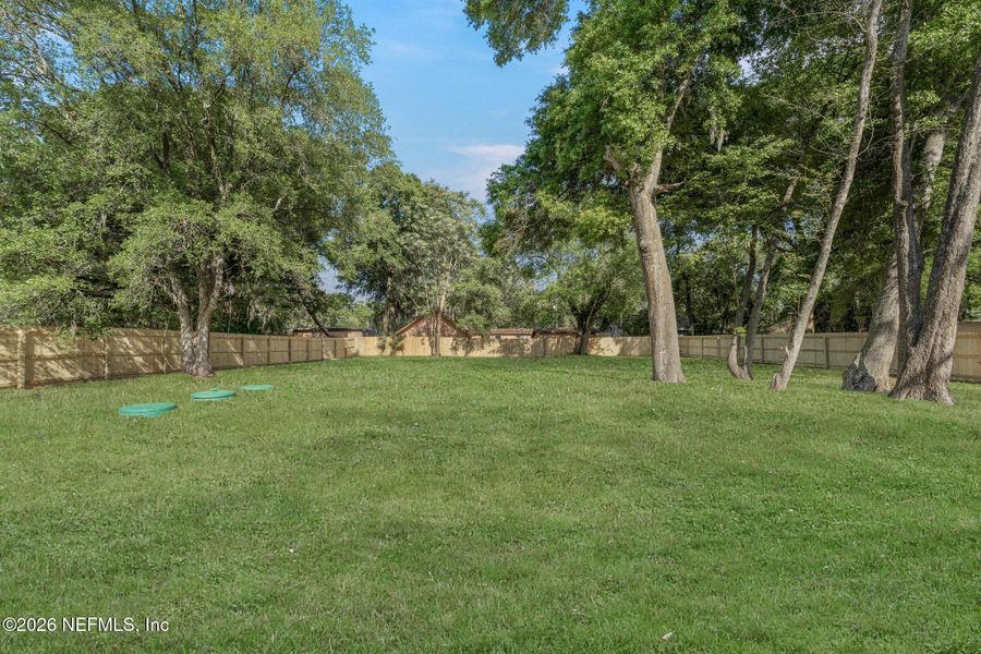 Natural landscape and outdoor views near  in Jacksonville (Image 31).