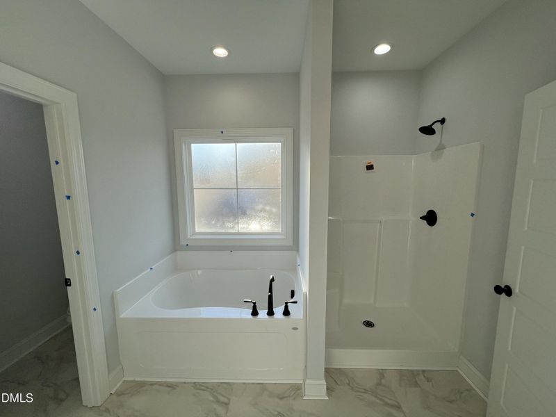 IMG_7141 2 IMG_7141 2