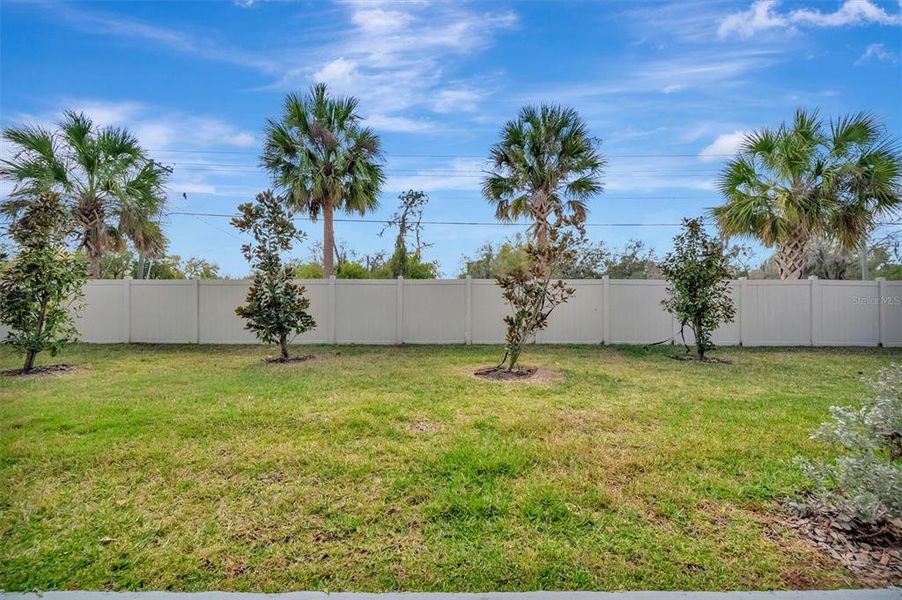 Exterior details and patio area of a home in , Wimauma (Image 3).