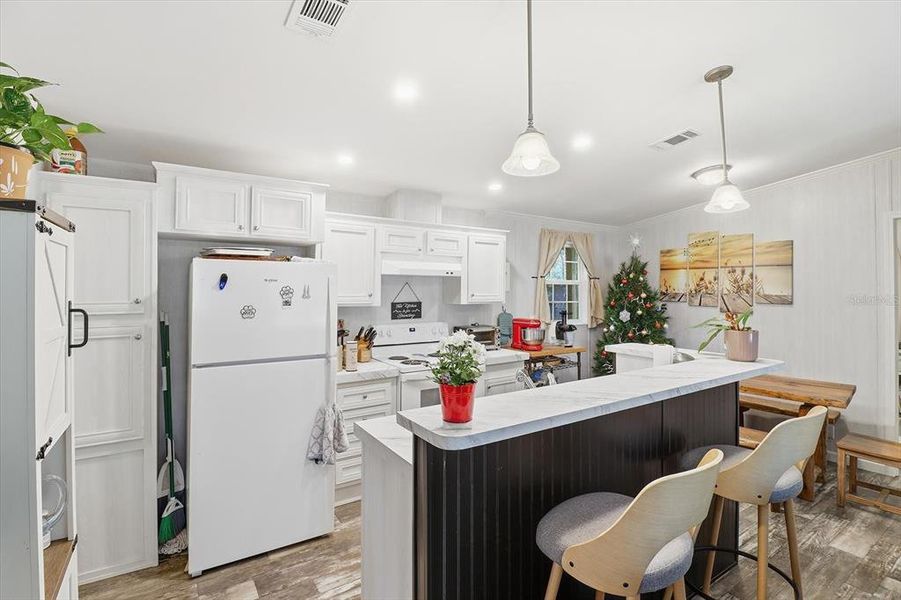 Furnished interior view inside a new home in , Dunnellon (Image 4).