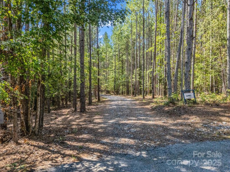 Natural landscape and outdoor views near  in Mill Spring (Image 25).
