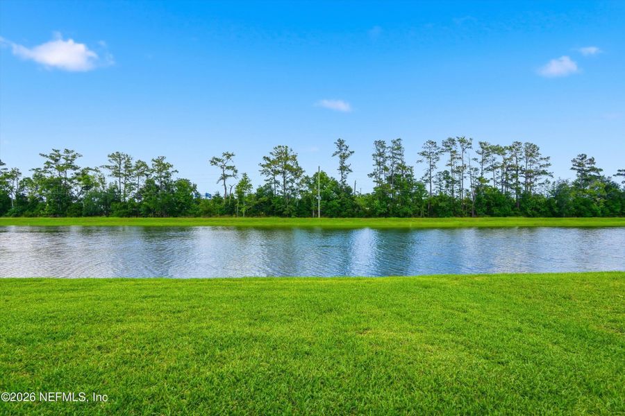Natural landscape and outdoor views near  in Jacksonville (Image 27).
