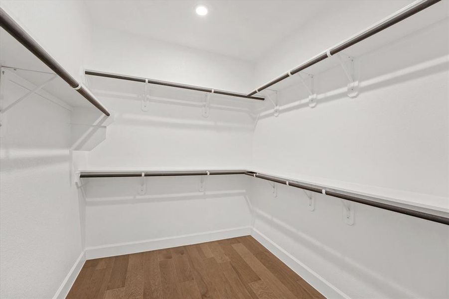 Walk in closet featuring light wood finished floors