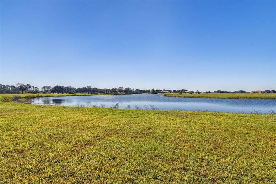 Natural landscape and outdoor views near in Wimauma (Image 36). Natural landscape and outdoor views near in Wimauma (Image 36).