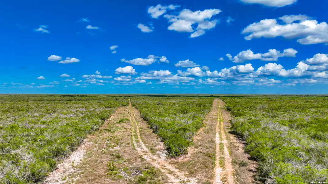 Natural landscape and outdoor views near  in Alice (Image 37).