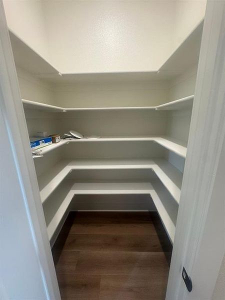 Walk-in pantry featuring abundant built-in shelving, hard-surface flooring, and light-toned wall finishes