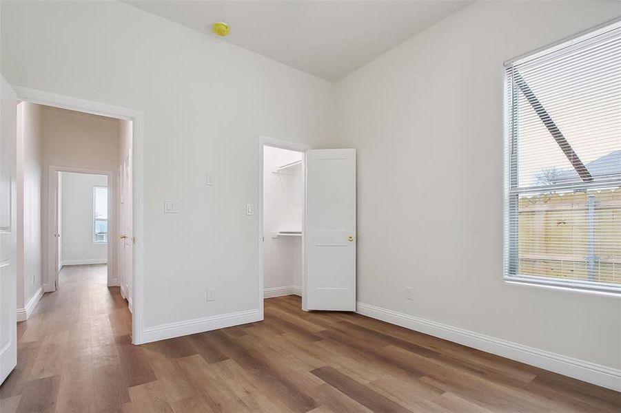 Unfurnished bedroom featuring multiple windows, a walk in closet, light wood-type flooring, and a closet