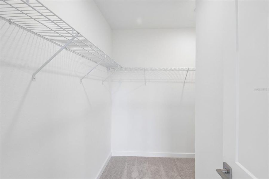 Spacious, unfurnished interior of a new home in Grasslands West, Lakeland (Image 21).