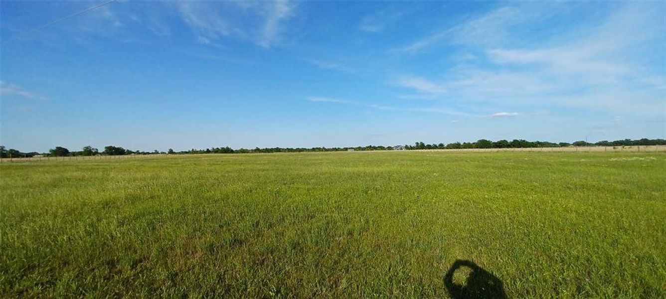 Acreage behind the home.
