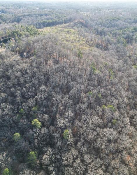 Natural landscape and outdoor views near  in Cumming (Image 32).
