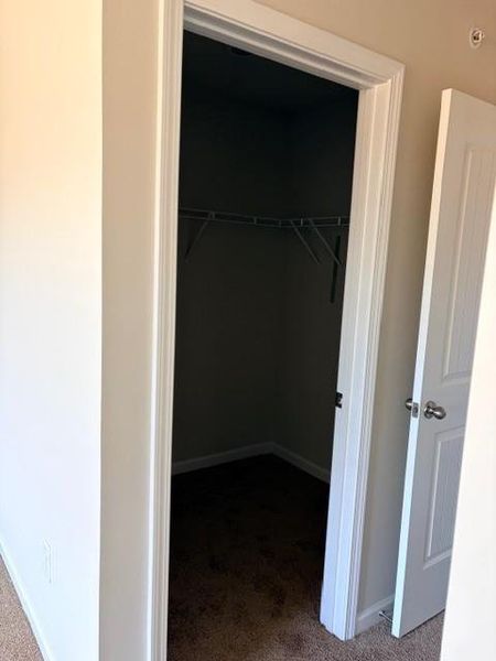 Spacious, unfurnished interior of a new home in Carolina, Palmetto (Image 15).