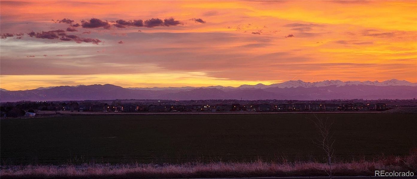 This could be your view while you eat dinner .